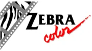 Zebra Color