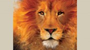 The Color Seven Marketing Group
