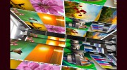 Acclaim Graphics